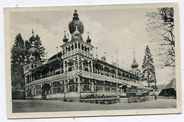 AK 017975 GERMANY - Alexisbad Im Harz - Harzgerode