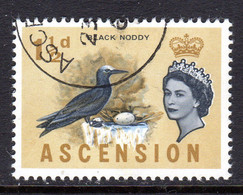 ASCENSION - 1963 QEII DEFINITIVE 1½d BIRD STAMP FINE USED SG 71 REF A - Ascensión