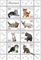 2021..KAZAKHSTAN..STAMPS..PETS..KITTENS - Autres & Non Classés