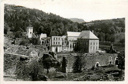 Le Béage * La Chartreuse De Bonnefoy * Les Ruines - Other & Unclassified