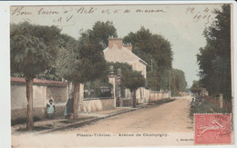 Le Plessis Trevise (94 - Val De Marne) Avenue De Champigny - Le Plessis Trevise