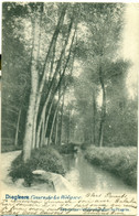 Diegem : Cours De La Woluwe : 1902 !! - Diegem