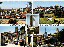 Montcuq * Souvenir De La Commune * Multivues - Autres & Non Classés