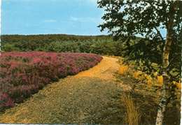 Eisden - Mechelse Heide - Maasmechelen