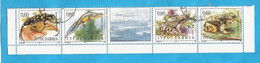 1995  JUGOSLAVIJA  JUGOSLAWIEN NATURSCHUTZ WWF  LURCHE BERGMOLCH GRIECHISCHE FORSCH  USED - Usati