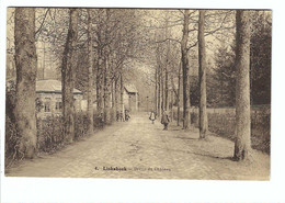 4.  Linkebeek - Drève Du Château  (plooi Midden) - Linkebeek