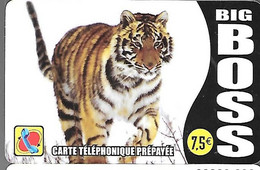 CARTE-PREPAYEE-7.5€ BIG BOSS-TIGRE-31/12/2005-V° Blanc/et 2 Cadre Noirs-Gratté-TBE - Selva