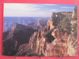 Visuel Très Peu Courant - Etats-Unis - Arizona - Angels Window - Kailab Limestone - Jolis Timbres - R/verso - Grand Canyon