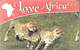 CARTE-PREPAYEE-LOVE AFRICA-7,5€-GUEPARDS-Exp 25/12/2010-Gratté-Plastic Glacé Fin-TBE - Jungle