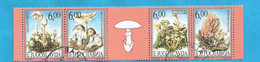 1999   JUGOSLAVIJA  JUGOSLAWIEN SERBIEN  NATURSCHUTZ  PILZEN FUNGHI  USED - Used Stamps