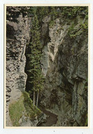 AK 018151 CANADA - Alberta - Jasper National Park - Maligne Canyon - Jasper