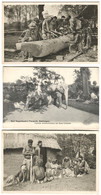 STELLINGEN 3 Ak Carl Hagenbecks Tierpark Altona - Völkerschau - Kannibalen - Cannibales Elefanten Um 1910 - Stellingen