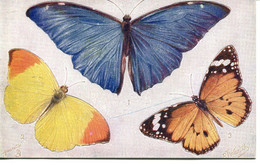 NOVELTY - TUCKS BUTTERFLIES PUSH-OUT SERIES 3390 Nov291 - Papillons