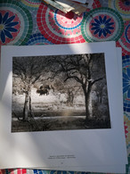 Photographie Animaux D'une Reserve - Afrika