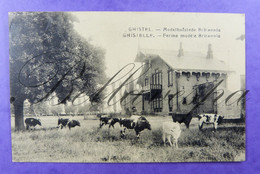 Gistel Modelhofstede Britannia (Veehouderij) 1922 - Gistel