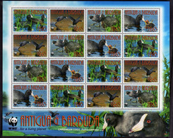 ANTIGUA & E BARBUDA 2009 FAUNA WWF CARIBBEAN COOT BIRDS UCCELLI SHEETLET SHEET FOGLIETTO MNH - Antigua Et Barbuda (1981-...)