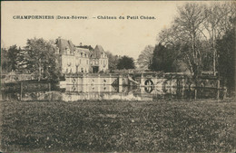 79 CHAMPDENIERS SAINT DENIS / Château Du Petit Chêne / - Champdeniers Saint Denis
