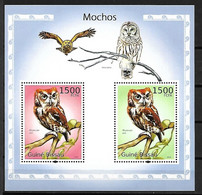 Guinea  Bissau - MNH ** 2010 :      Eastern Screech Owl  - Megascops Asio - Spechten En Klimvogels