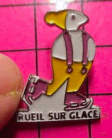 813d Pin's Pins / Beau Et Rare / THEME : SPORTS / PATINAGE ARTISTIQUE RUEIL SUR GLACE Et Le Réchauffement Climatique ? - Skating (Figure)