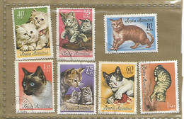 Lot De7 Timbres ITALIE  / CHAT - Lotti E Collezioni