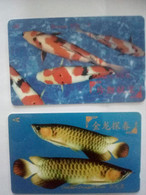 SINGAPOUR SINGAPORE 2 CARDS POISSONS FISH 10$ + 20$ UT - Poissons