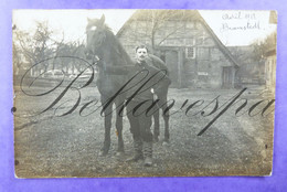 Pferd Militar ? Avril 1917 Bramstedt  Fotograf Photo C. Ahlring Bassum Niedersaksen Germany - Horses
