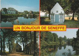 SENEFFE UN BONJOUR - Seneffe