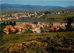 Langogne * Vue Générale Et Panorama Du Village - Langogne