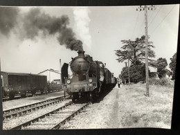 Photo Originale De J.BAZIN :train MV De RISLE à PORT- Ste MARIE : Au Départ De RISLE En 1959 - Trains