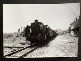 Photo Originale De J.BAZIN : Train  MV De RISLE à PORT- Ste MARIE : En Gare De MONTREAL- Du - GERS   En 1959 - Trains