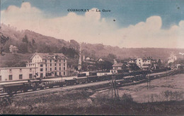 Cossonay Gare VD, Chemin De Fer Et Trains à Vapeur (489 B) - Cossonay