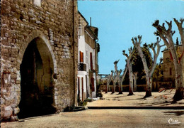 MAZAN   ( VAUCLUSE )    LA PORTE DE CARPENTRAS - Mazan