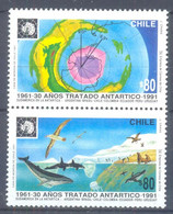 CHILI (WER4815) - Chili