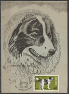 1988 - Exposition Canine - Cartoline Maximum