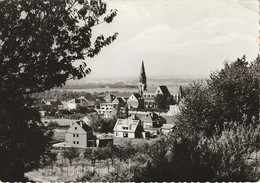 Roosdaal / Pamel : Panorama - Roosdaal