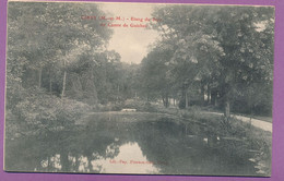 CIREY - Etang Du Parc Du Comte De Guichen (animation) - Circulé 1907 - Cirey Sur Vezouze