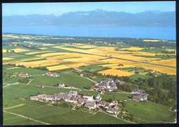 CPM Suisse FECHY Le Lac Léman Et Les Alpes - Féchy