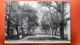 CPA (01)  Montluel. La Promenade Des Tilleuls. (T.1593) - Montluel