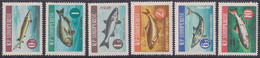 Albania, 1964, Fauna, Fish, Fishes - Albania