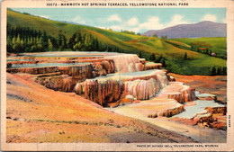 Yellowstone National Park Mammoth Hot Springs Terraces Curteich - Parques Nacionales USA