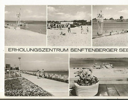 CPSM, Allemagne , N° 103/83 , Erholungszentrum Senftenberger See, Ed.Heimat - Senftenberg