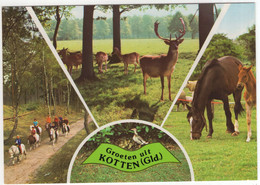 Groeten Uit Kotten - (Winterswijk, Gelderland, Nederland) - Nr. 694 - Winterswijk