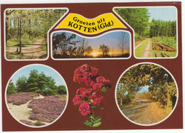 Groeten Uit Kotten - (Winterswijk, Gelderland, Nederland) - Nr. F 4223 - Winterswijk