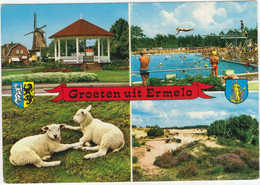 Groeten Uit Ermelo - (Gelderland, Nederland) - Nr. L 1597 - Molen, Zwembad, Lam, Muziekkoepel, Natuur - Ermelo