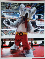 Harvey The Hound ( Official Mascot Of Calgary Flames Hockey Team ) - Handtekening