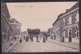 Scheldewindeke  -  Pelgrim - Oosterzele