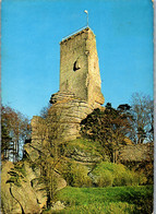 22774 - Niederösterreich - Arbesbach , Zwettl , Ruine Im Waldviertel - Gelaufen 1976 - Zwettl