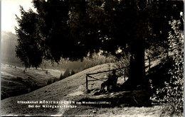 23085 - Niederösterreich - Mönichkirchen Am Wechsel , Bei Der Wildgans - Fichte - Gelaufen 1960 - Wechsel