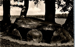 23105 - Deutschland - Wildeshausen , Heidenopfertisch - Gelaufen 1955 - Wildeshausen