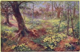 Peinture éditeur: Oilette Flower Time N°8880 De Raphael Turk Et Sons ( Sous Bois, Expédiée De Fournes - Schilderijen